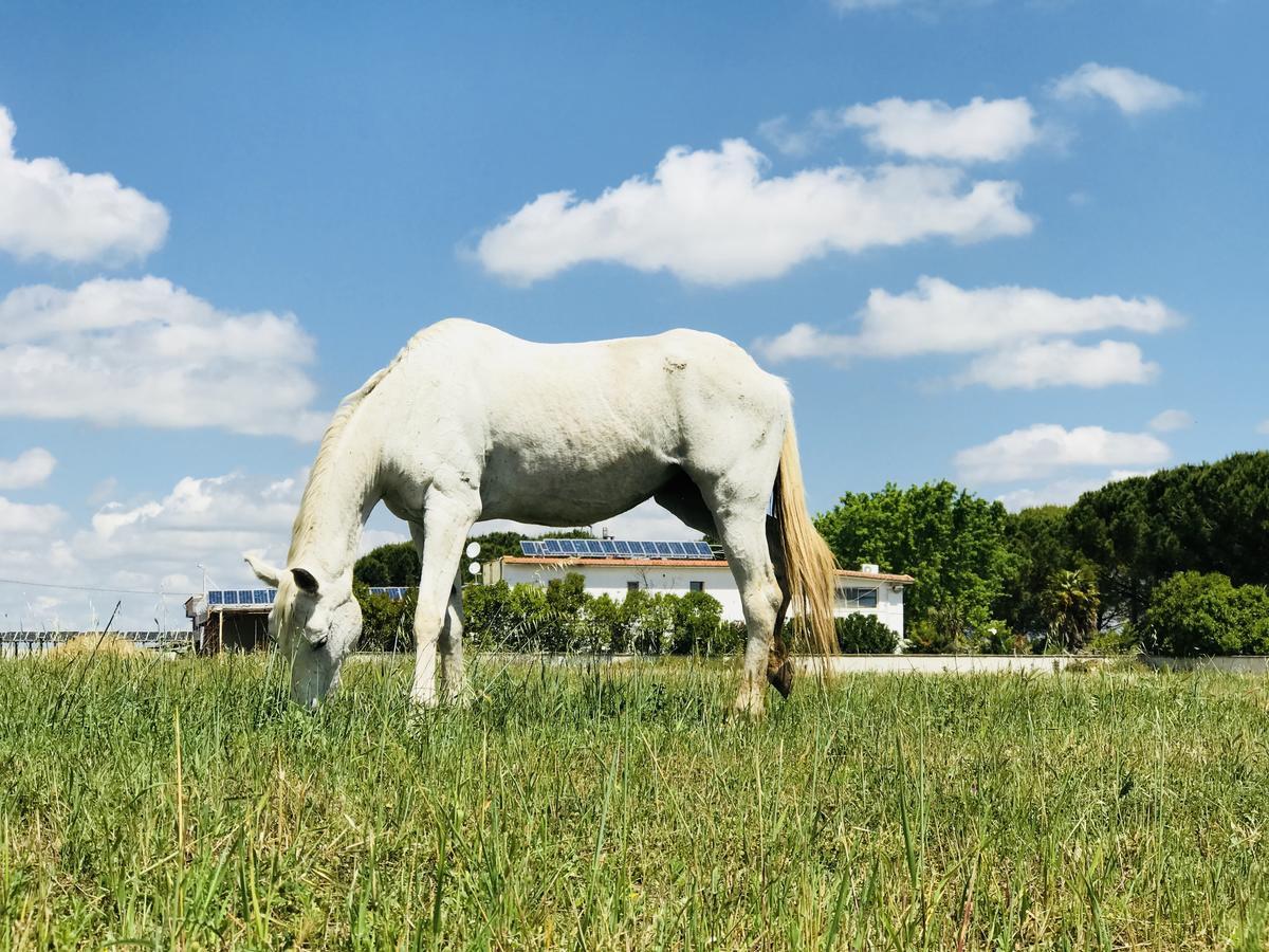 Masseria Nel Sole Hotel Lucera Exterior photo